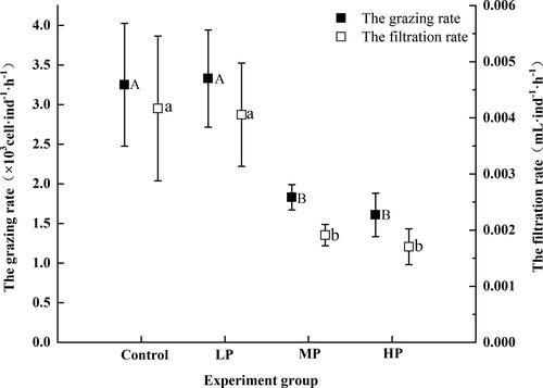 Figure 3. The grazing and filtration rates of rotifers fed with different quality algae (Mean ± SE). Different capital and lowercase indicated a significant difference among the treatments.