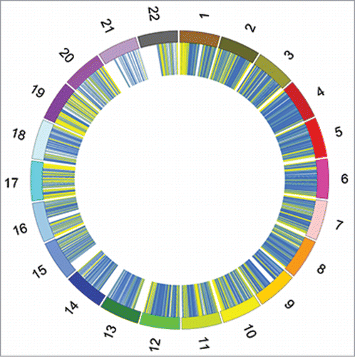 Figure 4. Differentially methylated regions in the pro-B to pre-BI transition. Circos plots representing chromosomes 1-22. The X and Y chromosomes were excluded from analysis. A total of 4,210 loci gained methylation (hypermethylated in pre-BI) and 14,294 loci lost methylation (hypomethylated in pre-BI). Blue represents hypomethylated regions in pre-BI cells and yellow represents hypermethylated regions in pre-BI cells.