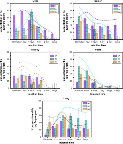 Figure 5 The time profiles of the distribution of PEGylated IONPs (µg Fe/g organ) in vital tissues. S1, S2, and S3 were respectively 14 nm IONP@PEG2,000, 14 nm IONP@ PEG5,000 and 22 nm IONP@ PEG5,000, respectively.