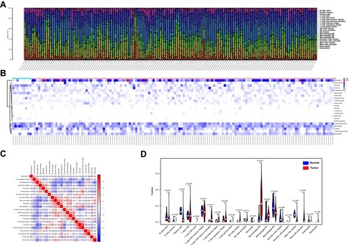Figure 1 Analysis of the expression level of 22 TIICs and its correlation in 369 colon cancer cases and 39 normal cases. (A, B) Heatmap of 22 TIICs and immune cells between 369 colon cancer cases derived from the TCGA database. (C) The correlation matrix of 22 types of TIILs in colon cancer analyzed by Pearson correlation coefficient. (D) The differences in the composition of TIIC between normal tissue and colon cancer tissues.