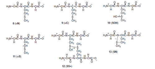 Scheme 2. Reactive intermediates discussed in the resolution of time-resolved spectra.