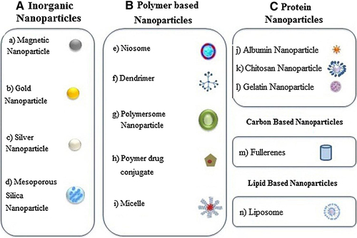 Figure 3 Diagrammatic explanation of different Nano carriers.