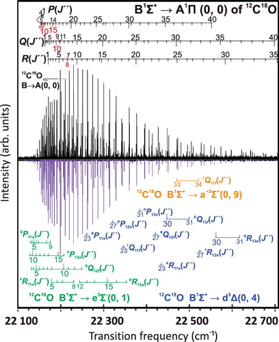 Figure 3. High resolution emission spectrum with rotational assignments of the 12C18O B1Σ+ − A1Π (0, 0), B1Σ+ − e3Σ− (0, 1), B1Σ+ − d3Δ (0, 4), and B1Σ+ − a′3Σ+ (0, 9) bands recorded with the VIS-FT spectrometer. Upper trace: experimental spectrum; Lower trace: simulation of 12C18O B1Σ+ − A1Π (0, 0) obtained with the Pgopher software [Citation41]. Lines indicated by red labels represent J-values with the strongest perturbations.