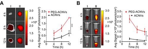 Figure 5 Influence of PEGylation on in vivo distribution of ACNVs in Hep G2 tumor xenograft nude mice. (A) Ex vivo fluorescence imaging and quantification of tumors from mice treated with ACNVs (I) and PEG-ACNVs (II). (B) Ex vivo fluorescence imaging and quantification of blood samples from mice treated with ACNVs (I) and PEG-ACNVs (II). *p< 0.05, ***p< 0.001.