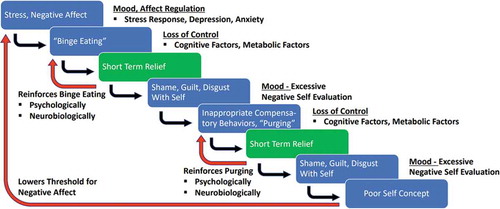 Figure 1. Vulnerability factors that contribute to the behavior chain of binge eating and purging behaviors in bulimia nervosa