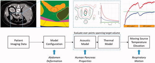 Figure 2. Illustration of the treatment planning model process. Patient CT data are segmented and used to define the geometries for 3 D finite element models. Pressure fields are used to calculate heat generation terms which are subsequently applied to thermal finite element models. Their four-dimensional outputs (temperature history in three dimensions) are used to simulate volumetric hyperthermia by moving the thermal data according to a prescribed trajectory and rate. New features in the present study are shown at the bottom of the figure (italic text) and are aligned with the part of the model where they are introduced.