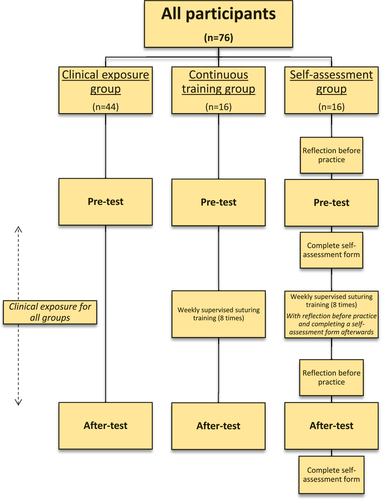 Figure 4. Flowchart of protocol of this study.