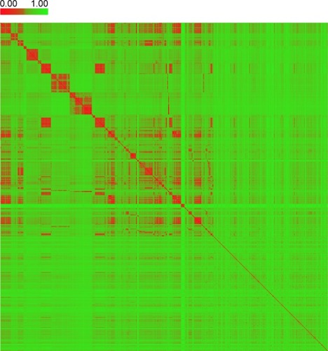 Figure 3 The heat map of distance matrix for the compounds in the collected dataset.