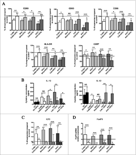 Figure 5. RANKL inhibition is sufficient to reverse the tolerogenic profile of DC. (A) Analysis of DC phenotype after coculture in the presence of SCC cell lines treated or not with human OPG. After 6 d of coculture and 24 h of incubation with LPS, the expression of CD80, CD83, CD86, HLA-DR and CCR7 was assessed by flow cytometry. Data are from seven independent experiments and were normalized to control DC (= 100%). Mean values are shown as percentages of positive cells ± standard deviation (*P < 0.05, **P < 0.01). (B) Secretion levels of IL-10 and IL-12p70 in supernatant of DC cocultured with cancer cell lines in the presence or not of OPG. The secretion levels were measured by ELISA after 6 d of coculture and 24 h of incubation with LPS. DC cultured alone or with OPG were used as controls. Data are presented as means ± standard deviation of six independent experiments (*P < 0.05; **P < 0.01). (C) FACS analysis of ILT3 expression on DC cocultured with SCC cell lines in the presence or not of OPG. Data were normalized to control DC (= 100%). Data are from five different experiments and mean values are shown as percentages of positive cells ± standard deviation (*P <0.05; **P < 0.01). (D) DC cocultured in the presence of OPG induced a lower Treg cell differentiation in vitro. Real-time RT-PCR analysis of FoxP3 expression in allogeneic CD4+ T cells cultured with DC isolated from previously described coculture experiments. DC cultured alone were used as control. Data represent mean ± standard deviation of four independent experiments (*P < 0.05; **P < 0.01).