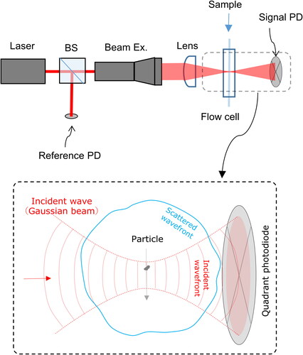 Figure 1. Schematic diagram of our SPES instrument with an illustration of the interferometric detection of scattered wave from each particle in forward direction.