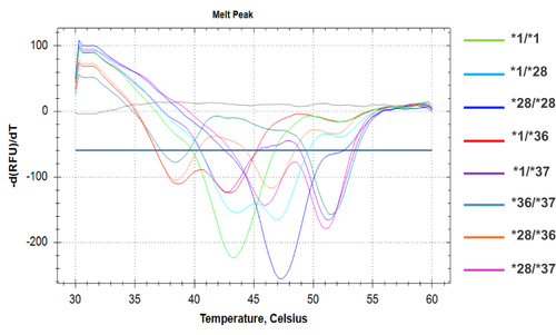 Figure 5 A distinctive melting profile is obtained for each different genotype of the UGT1A1 (TA)n polymorphism. On the right of the chromatogram, lines of different colours are listed, corresponding to the different genotypes. The melting temperatures of each allele are: 43.5°C±1 for the wild-type *1 allele; 47°C±1 for the *28 mutated allele; 39°C±1 for the *36 allele and 51.5°C±1 for the *37 allele.