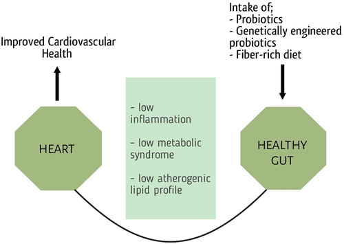 Figure 8. Cardiovascular health is linked with the diet which shapes the microbiota of the gut and leads to a healthy life cycle.