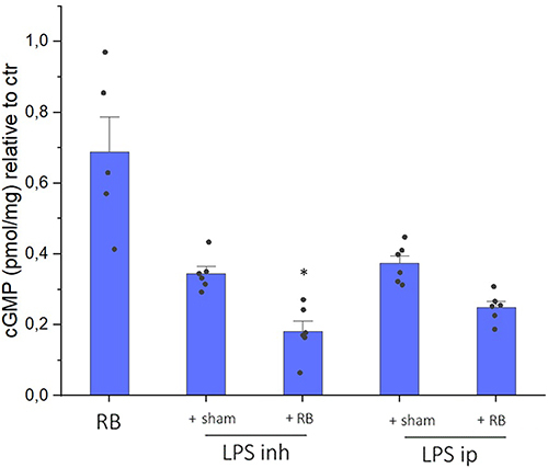 Figure 6 cGMP levels following resistive breathing and endotoxin exposure. As previously described by our group, both RB and LPS exposure reduced cGMP levels in BAL, relative to control values. Combining RB with inhaled LPS caused a significant further reduction in cGMP levels, compared to LPS alone, an effect that was not seen when RB was added to intraperitoneal LPS. Data presented as mean ± sem with overlapped data points, n=5–6 per group, *p<0.05 to LPS inh.