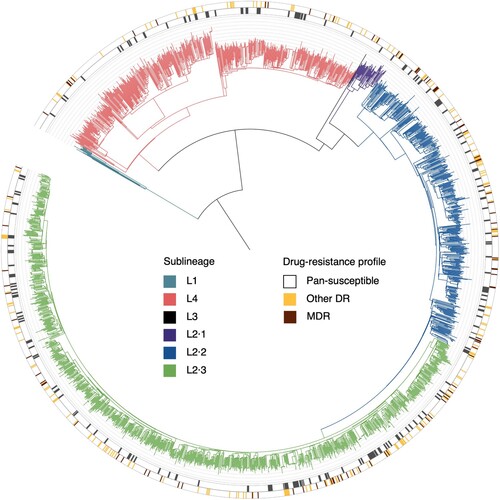 Figure 3. Phylogeny, clustering, and resistance profile of 2345 Mycobacterium tuberculosis strains isolated in the Longhua district during June, 2018-May, 2021. The different colours on the branches indicate different lineages and sublineages. The outer grey circle indicates genomic-clustered strains differing by ≤12 single-nucleotide polymorphisms. The outer yellow-brown circle indicates other drug resistance and multidrug resistance.