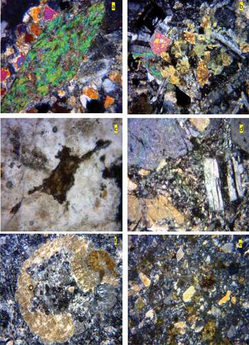 Figure 2. Photomicrographs of thin sections of plutonic and volcanic rocks (50X): a) Amphibole phenocryst with plagioclase and quartz in diorite; b) Maﬁc clots of intergrown plagioclase and amphibole in granodiorite; c) Sphene mineral in granite unit; d) Quartz, feldspar, and plagioclase phenocrysts in fine-grained background; f) leakage background to plagioclase and camaraderie Fe-oxide; (e) crystal vitric tuff including tuff, epidote, and plagioclase in vitreous background with Fe oxide.