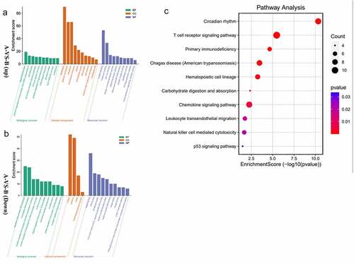 Figure 3. a/b The horizontal axis is the name of GO item, and the vertical axis is log10pValue. c The horizontal axis of the figure is the enrichment score. The larger the bubble, the more the number of differential protein encoding gene. The bubble color changes from red-purple-blue, the smaller the enrichment p Value, the greater the significance.