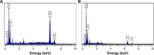 Figure 6 EDX spectroscopy of Fe3O4-NPs with 0.5% and 3% (w/v) honey, (A) and (B), respectively.Abbreviations: EDX, energy-dispersive X-ray; Fe3O4-NPs, magnetite nanoparticles.