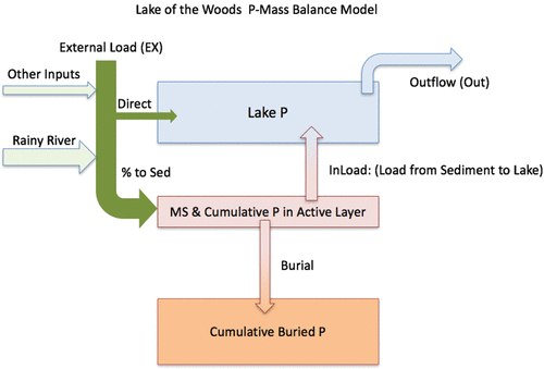 Figure 6. Model 2 is a 3-box dynamic model run from 1850 to 2050. Three inventories of P are estimated including P in the lake (Lake P), Cumulative P in the Active Layer, and Cumulative P in the Buried Layer by adjusting the percent of external P load (EX) that goes to the sediment (% to Sed), the internal load rate (InLoad), and the mass of sediment (MS) that is in the Active Layer.