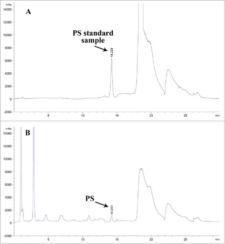 Figure 6. Determination of PS by HPLC. The reaction mixtures were subjected to HPLC using ELSD detection for the determination of PS. (A) The PS standard sample. (B) The reaction mixture for 10-h transphosphatidylation.