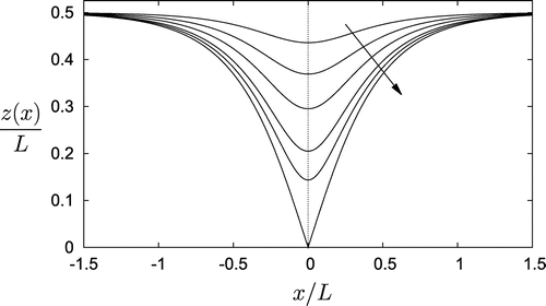 Figure 5. C3 container shapes plotted for k=π/L at the selected values B={0.2,0.4,0.6,0.8,0.9,1.0}. The arrow shows the direction of increasing B. The container for B=1 starts out as a 90∘ wedge and splays out to attain horizontal walls at z/L=12 as x→±∞.