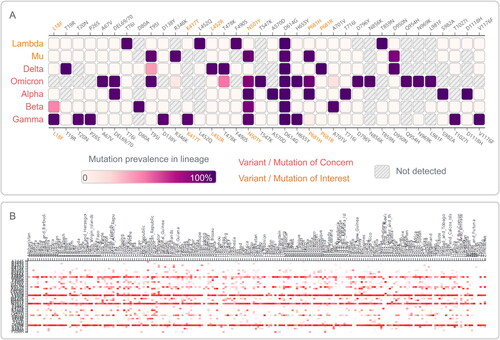 Figure 3. Mutation prevalence across VOC and VOI lineages and their geographical distribution on Receptor Binding Domain (RBD) of Spike protein. (A) Mutations with >95% prevalence in at least one lineage. The data were obtained from https://outbreak.info/situation-reports and accessed on Dec 14, 2021. (B) Showing mutations in Spike protein RBD present in at least 20% of countries for visualization purposes. The data were collected from COVID-Miner website (https://covid-miner.ifo.gov.it/app/countries) and accessed on Dec 14, 2021.