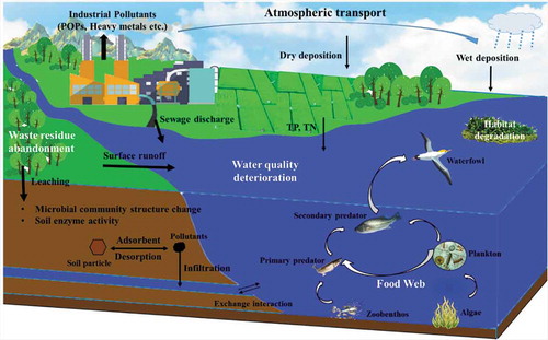 Figure 4. Schematic of industrial pollution on the aquatic and soil ecosystems.