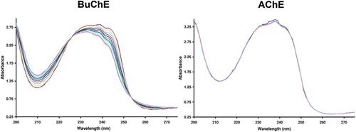 Figure 1.  Repetitive absorbance scans for N-methylpiperidin-4-yl 4-cyanobenzoate in the presence of butyrylcholinesterase (BuChE) or acetylcholinesterase (AChE). Note change in absorbance over time when the compound was incubated with BuChE (left) reflecting hydrolysis of the compound by this enzyme. No change in absorbance with AChE (right) indicates no hydrolysis by this enzyme. The absorbance was measured every 2 min for 30 min.