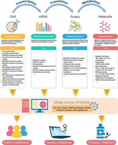 Figure 1. Meta-omics algorithm for investigating the host–microbiome interactions