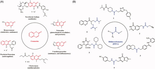 Figure 1. Drugs containing coumarin core (A) and antitumor agents containing dithiocarbamate fragment (B).