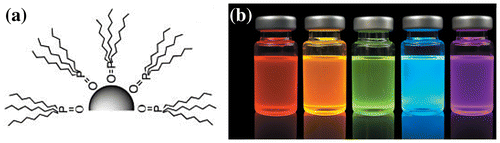 Figure 11. (a) QDs capped with tri-n-octylphosphine oxide. Reprinted with permission from [Citation65]. Copyright 2005 Royal Society of Chemistry. (b) ZnCdSeS quantum dots with various sizes emitting at various wavelength. Reprinted with permission from [Citation67]. Copyright 2016 Nature Publishing Group.