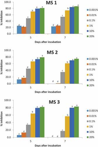 Figure 2. Effect of different concentrations of soybean extract on the mycelial growth of Marasmiellus scandens (MS) isolates at 5 and 7 days of incubation (28 ± 2°C). Values of percentage inhibition bearing the same letter within the same incubation day are not significantly different at p < 0.05 using Tukey’s post hoc test.