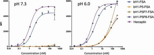 Figure 7. pH dependence of FSA variants binding to cells expressing Her2 at low-density. Low-density Her2 expressing JIMT-1 cells were tested under acidic and physiological pH conditions and cell binding was analyzed by flow cytometry (using Method A, Materials and Methods section). The left panel representing binding to the normal cell model (low-density Her2 and physiological pH) is to be compared with binding of the same variants to the tumor cell model consisting of high-density Her2 (SKOV3 cells) within a pH range of 6.0–6.8 (Figure 6A). Error bars represent standard deviations between technical replicates