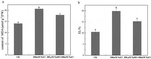 Figure 4. Effect of NaHS on the damage degree of leaf membrane of millet seedlings under salt stress. a: content of MDA; b: EL. Each value is the mean of three biological replicates, with different lowercase letters indicating significant differences between treatments (P＜.05).