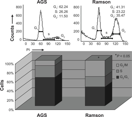 Figure 4 Propidium iodide staining highlighting changes in the cell cycle, with a marked increase in the G2/M fraction of AGS cells treated with ramson compared with untreated cells (P < 0.05).