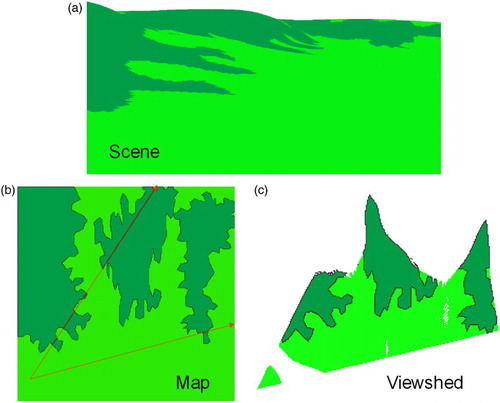 Figure 1. A computer-generated scene (a) of the corresponding map (b) and viewshed (c) showing two land cover classes, for example, grassland (light green) and heather (dark green), in the viewshed (c) occluded area is blank. Arrows show field of view.