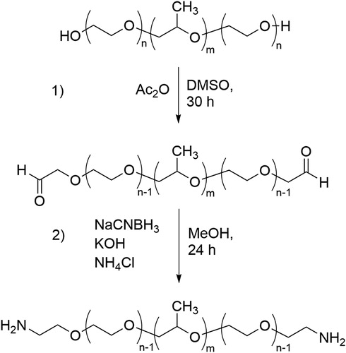 Figure 3. Reaction scheme of the amine end group modification of Pluronic.