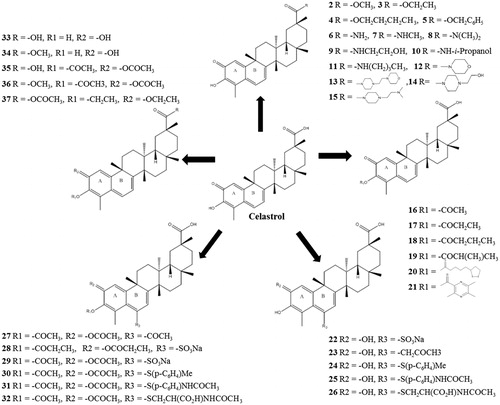 Figure 1. Chemical structure of celastrol and its analogues.