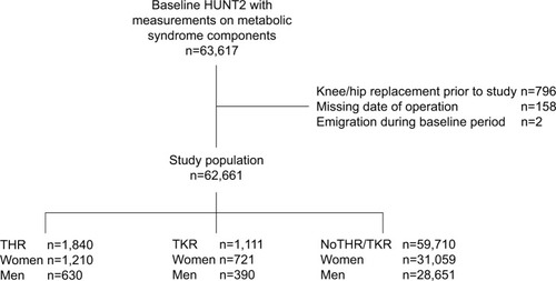 Figure 1 Flowchart.