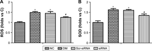 Figure 8 Effect of HMGB1 siRNA against oxidative stress.Notes: *P<0.05 versus NC group, #P<0.05 versus Scr-siRNA group. (A) ROS assay in different groups, showing the protective effect of siRNA HMGB1 in HREC damage caused by high glucose. (B) SOD assay in different groups, showing the protective effect of siRNA HMGB1 in HREC damage caused by high glucose.