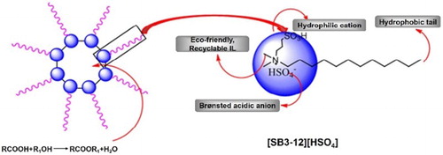 Figure 1. Illustration of auto-isolation of water generated during esterification.