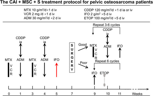 Figure 1 The individualized pelvic osteosarcoma treatment protocol combined cisplatin arterial infusion, multidrug systematic chemotherapy and resection surgery (CAI + MSC + S).