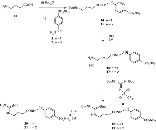 Scheme 2. Synthesis of GABA-containing sulfonamides 14–21.