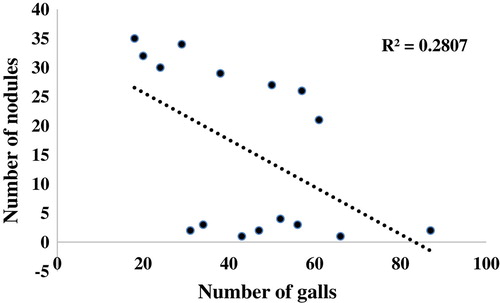 Figure 1. Correlation analysis between numbers of gall versus numbers of nodule/root system