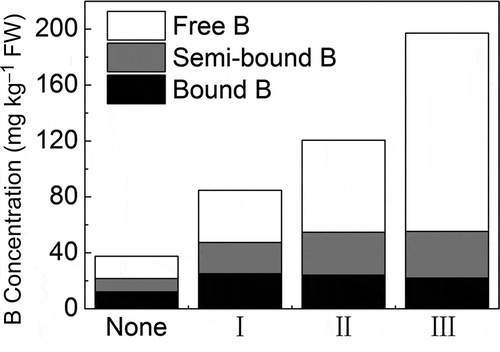 Figure 4 Different forms of boron (B) in different level leaves (data in the figure are the means of B concentrations in different treatments). FW, fresh weight.