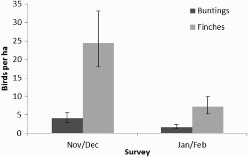 Figure 2. Mean predicted densities (+/− se) of buntings and finches in seed mixture plots in relation to survey.