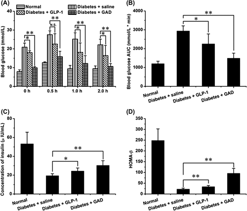 Figure 4. GAD treatment improved glucose homeostasis of the diabetic mice. (A) Glucose levels in OGTT. (B) AUC analysis of OGTT. (C) Fasting insulin levels. (D) HOMA-β analysis. (n = 8 for each group; N.S., not significant; *p < 0.05, **p < 0.01).