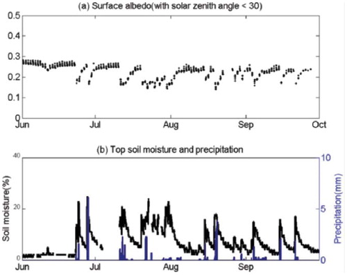 FIGURE 6. Variation of (a) albedo and (b) soil moisture (black) with precipitation (gray) from 1 June to 30 September 2007 at QOMS/CAS.