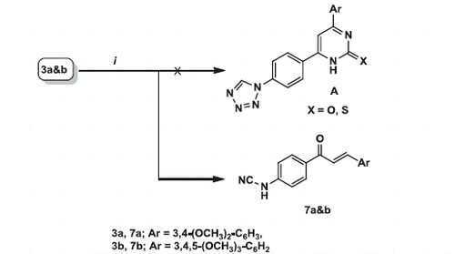 Scheme 2. Reagents and conditions: (i) thiourea or urea, KOH, abs. ethanol, reflux 10–12 h.
