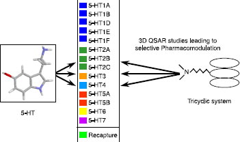 Figure 1 General representation of the pharmacomodulation program.