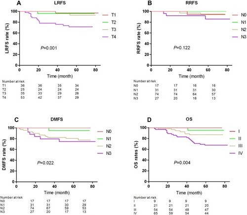 Figure 1 Kaplan-Meier curves for the 149 patients with NPC receiving IMRT: (A) LRFS stratified by T category; (B) RRFS stratified by N category; (C) DMFS stratified by N category; (D) OS stratifies as overall stage.Abbreviations: NPC, nasopharyngeal carcinoma; IMRT, intensity-modulated radiotherapy; RT, radiotherapy; LRFS, local relapse-free survival; DMFS, distant metastasis-free survival; PFS, progression-free survival; OS, overall survival.